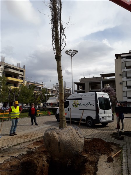 Agropolis